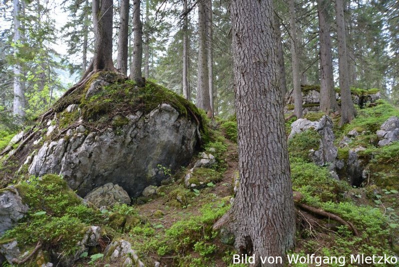 Felssturz am Soinsee - Gemeinde Bayrischzell